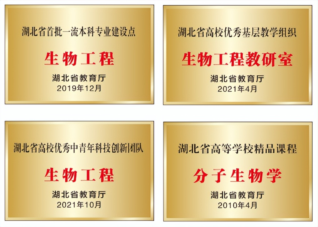 “五个一流”创品牌 英国上市365官网生物工程专业“硬核出圈”
