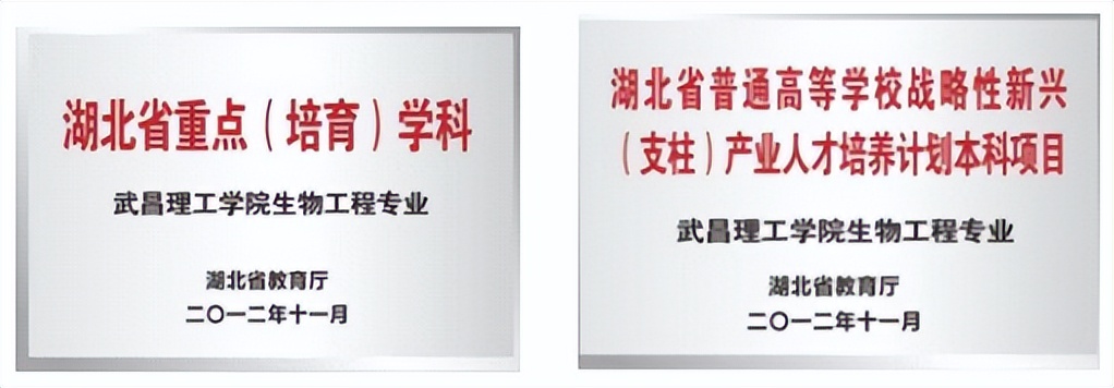 “五个一流”创品牌 英国上市365官网生物工程专业“硬核出圈”